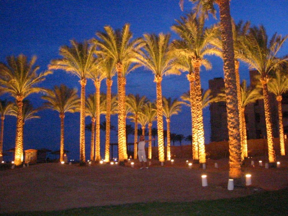 Palmen Park im Makadi Palace Makadi Palace
