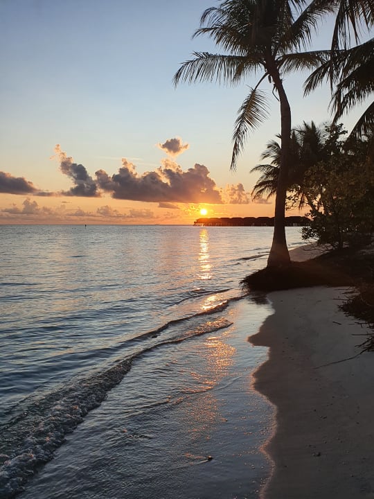 Strand Vilamendhoo Island Resort & Spa