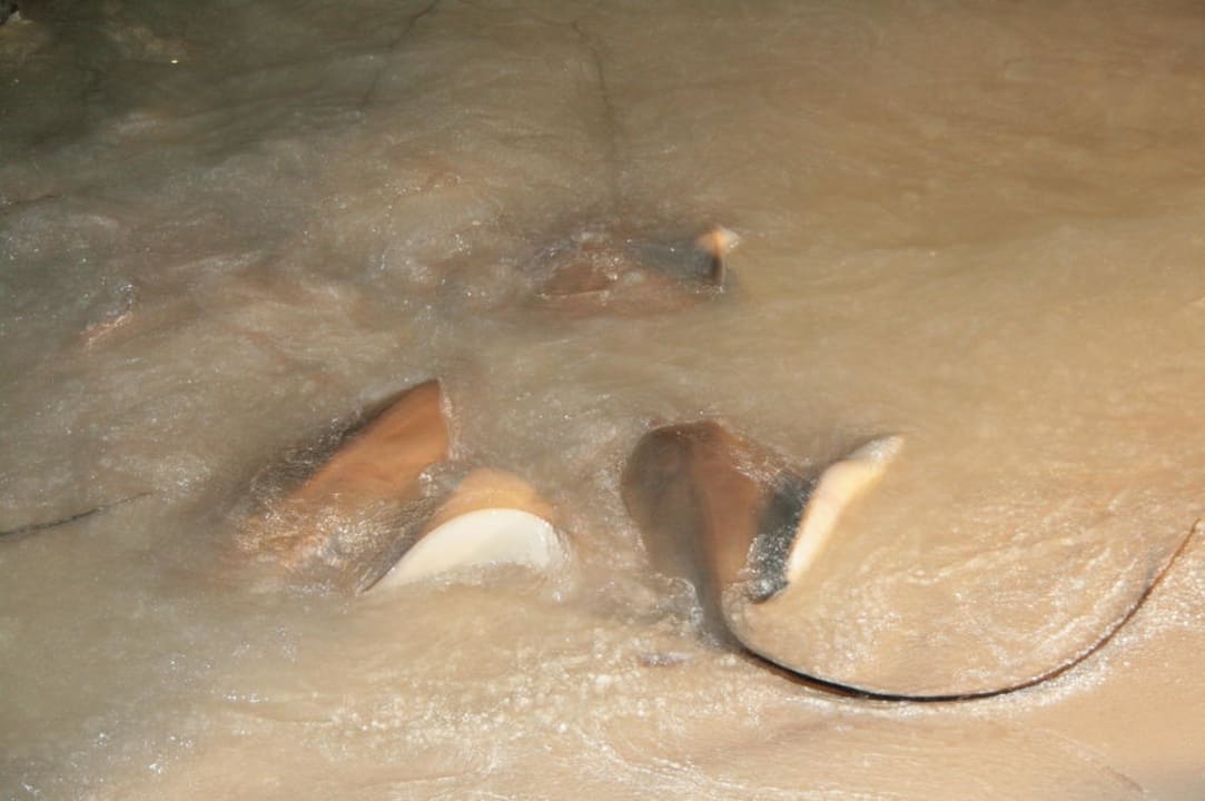 Am Strand Kuramathi Maldives