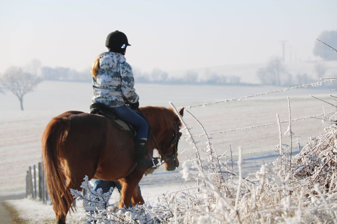 Ausritt Reitanlage Härtsfeldhof