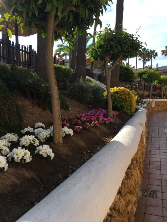 Gartenanlage Royal Son Bou Family Club