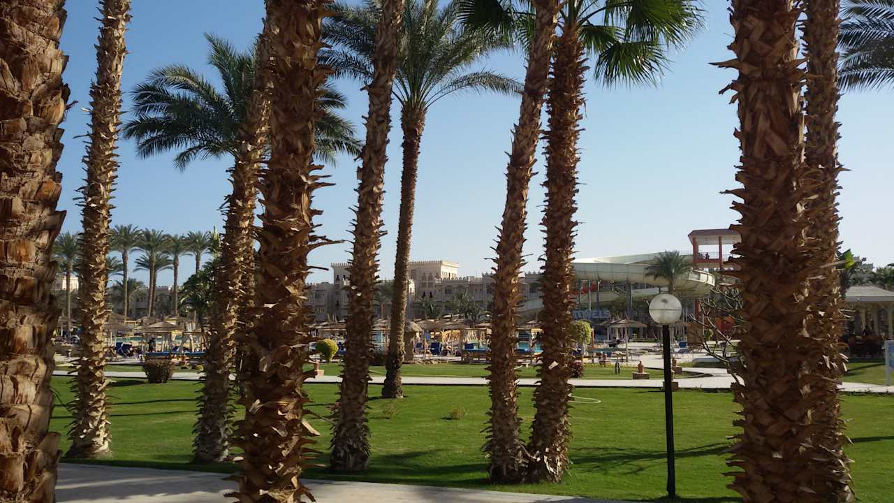 Ausblick Beach Albatros Resort