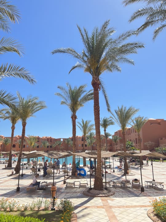 Pool Jaz Makadi Oasis Resort