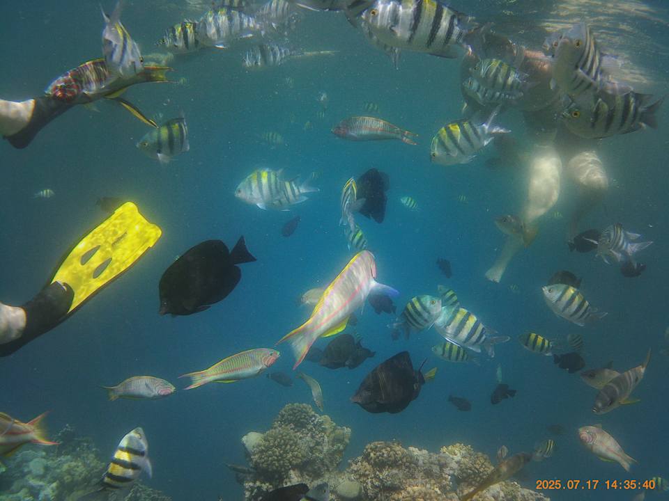 Strand Three Corners Sea Beach Resort