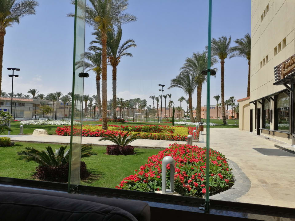 Gartenanlage Beach Albatros Resort