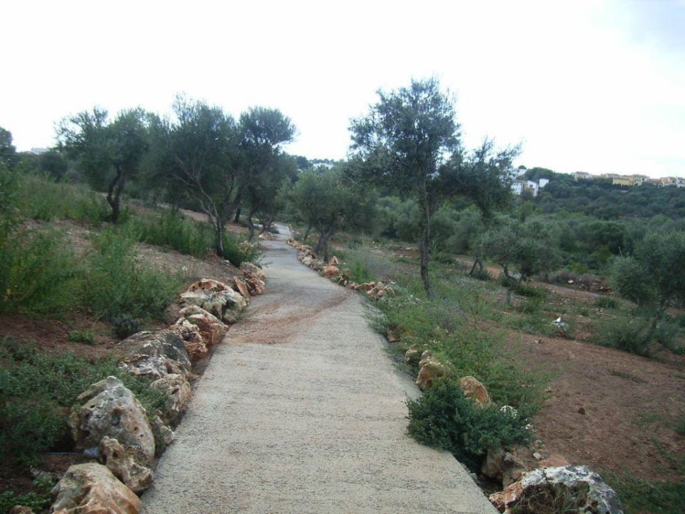 der Weg zum Strand Hotel Club Cala Romani