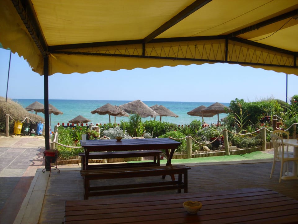 Blick von der Strandbar TUI MAGIC LIFE Africana