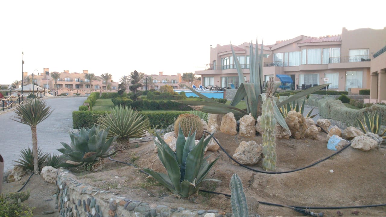 Erste Reihe am Strand Sentido Akassia Beach