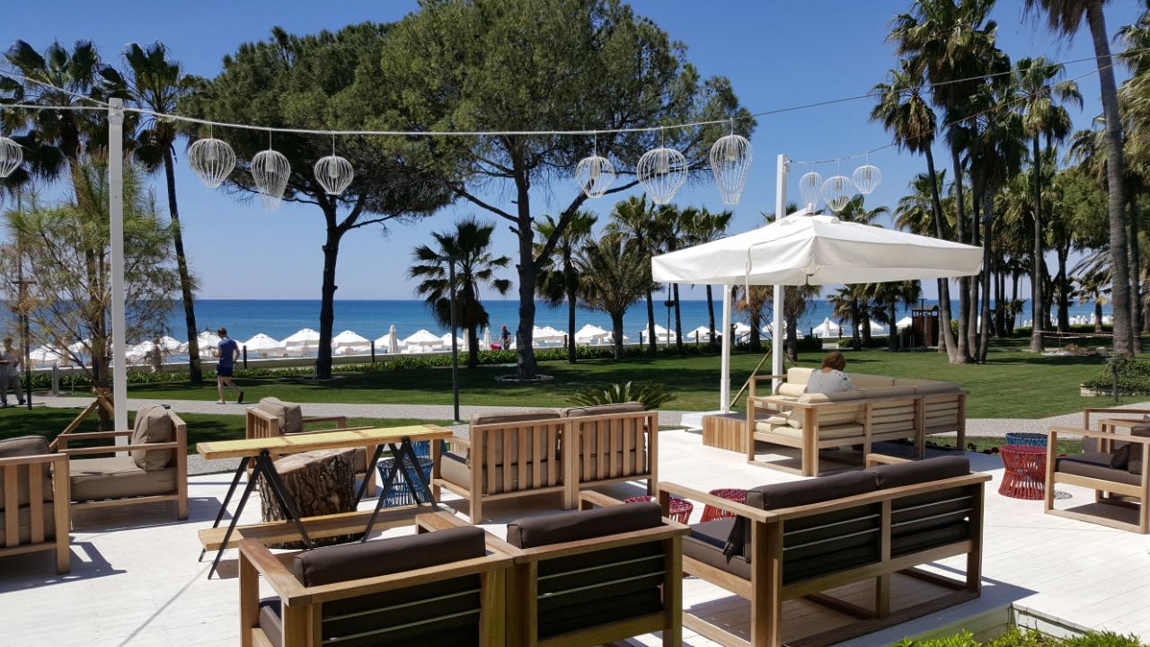 Gastro Acanthus Cennet Barut Collection