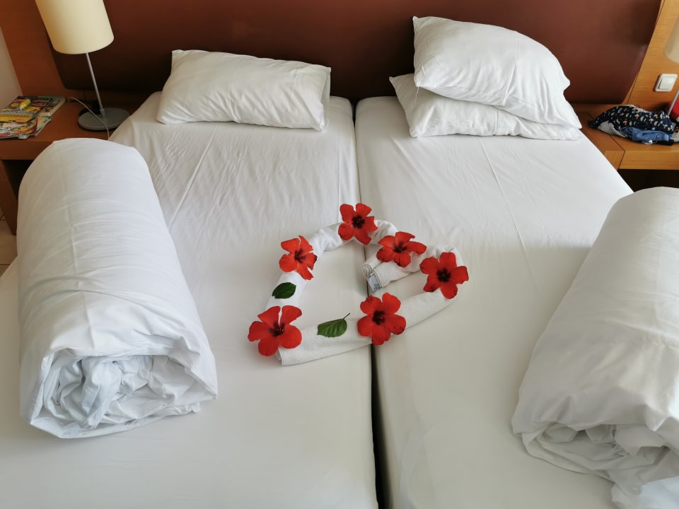 Zimmer Labranda Alantur Resort