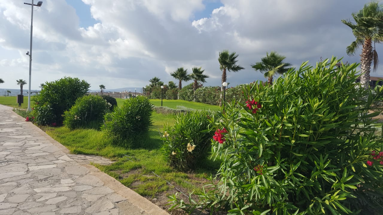 Gartenanlage Kefalos Beach Holiday Village