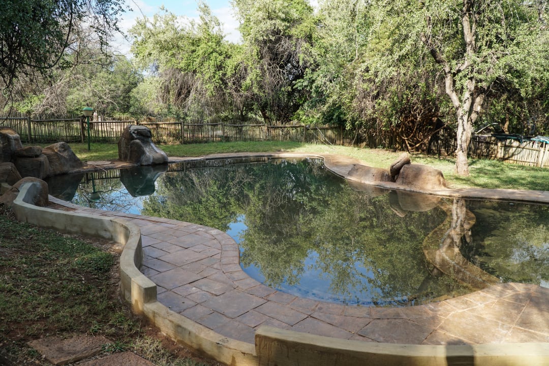 Der Pool sah wenig einladend aus. Punda Maria Rest Camp
