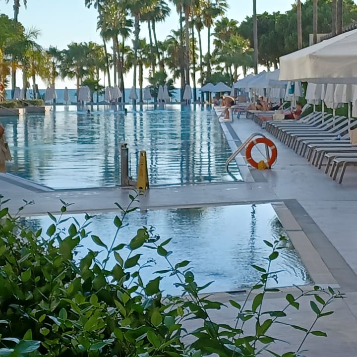 Pool Acanthus Cennet Barut Collection