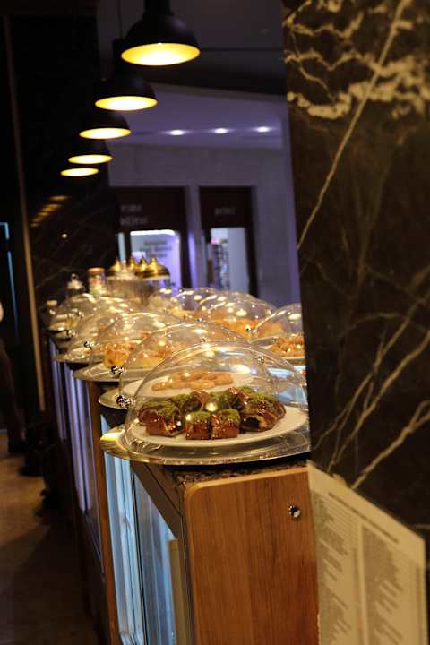 Gastro Acanthus Cennet Barut Collection