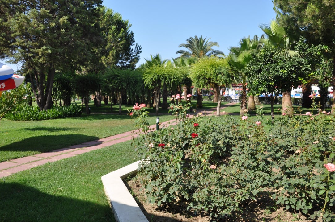 Aussenanlage Hotel Miramare Beach