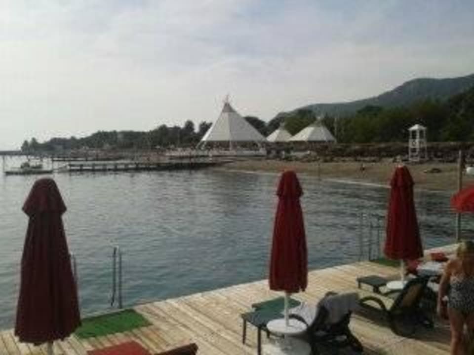  am Steg Balmy Foresta