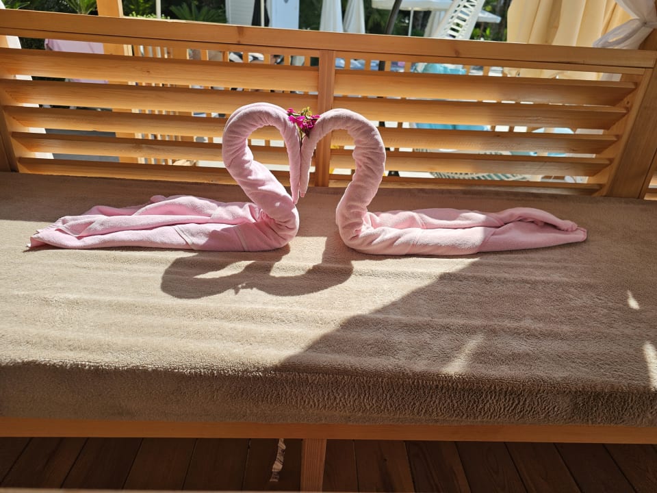 Pool Hotel Delphin Diva