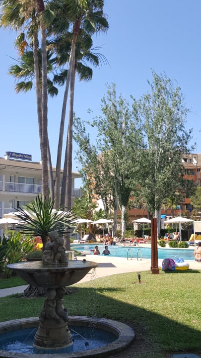 Pool allsun App.-Hotel Orquidea Playa