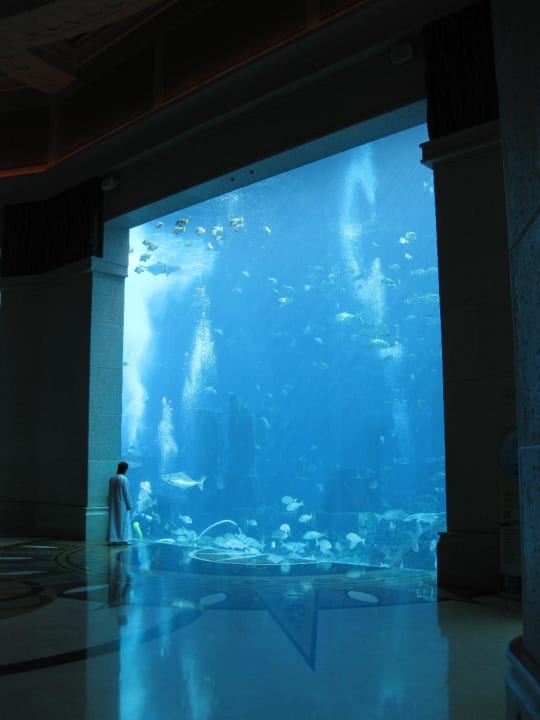 Teil des Aquariums Atlantis, The Palm