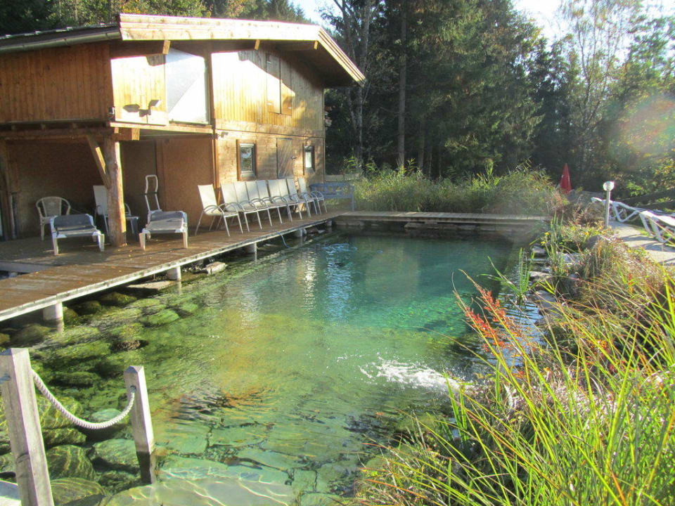 Schwimmteich Gartenhotel Daxer
