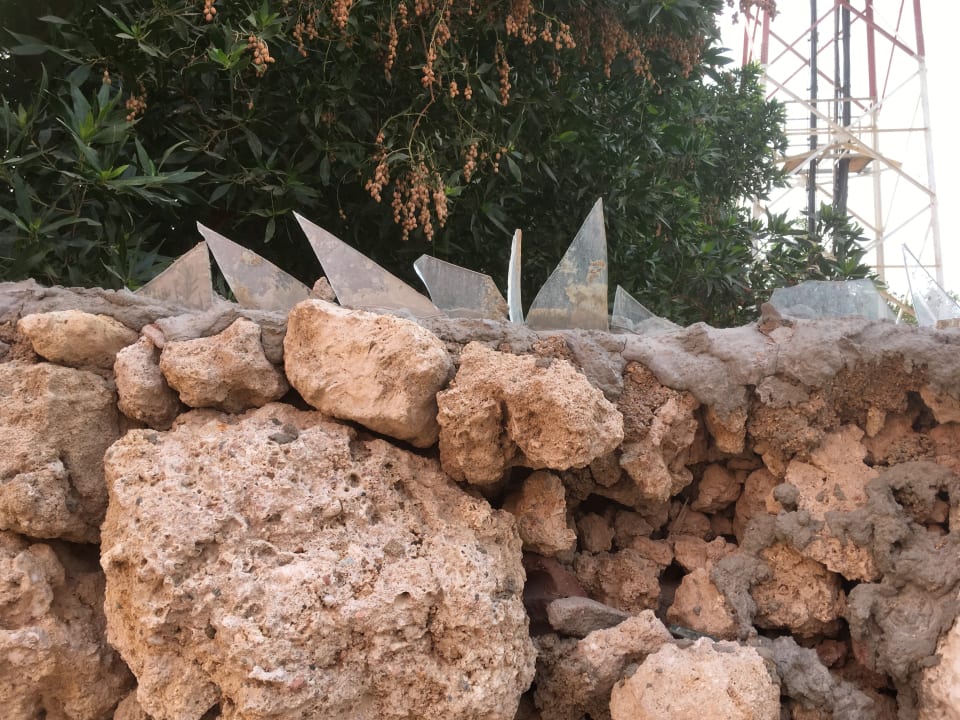 Gartenanlage Parrotel Aqua Park Resort