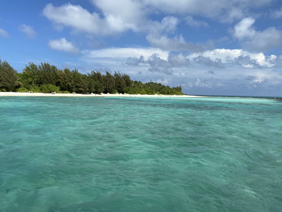 Strand Summer Island Maldives