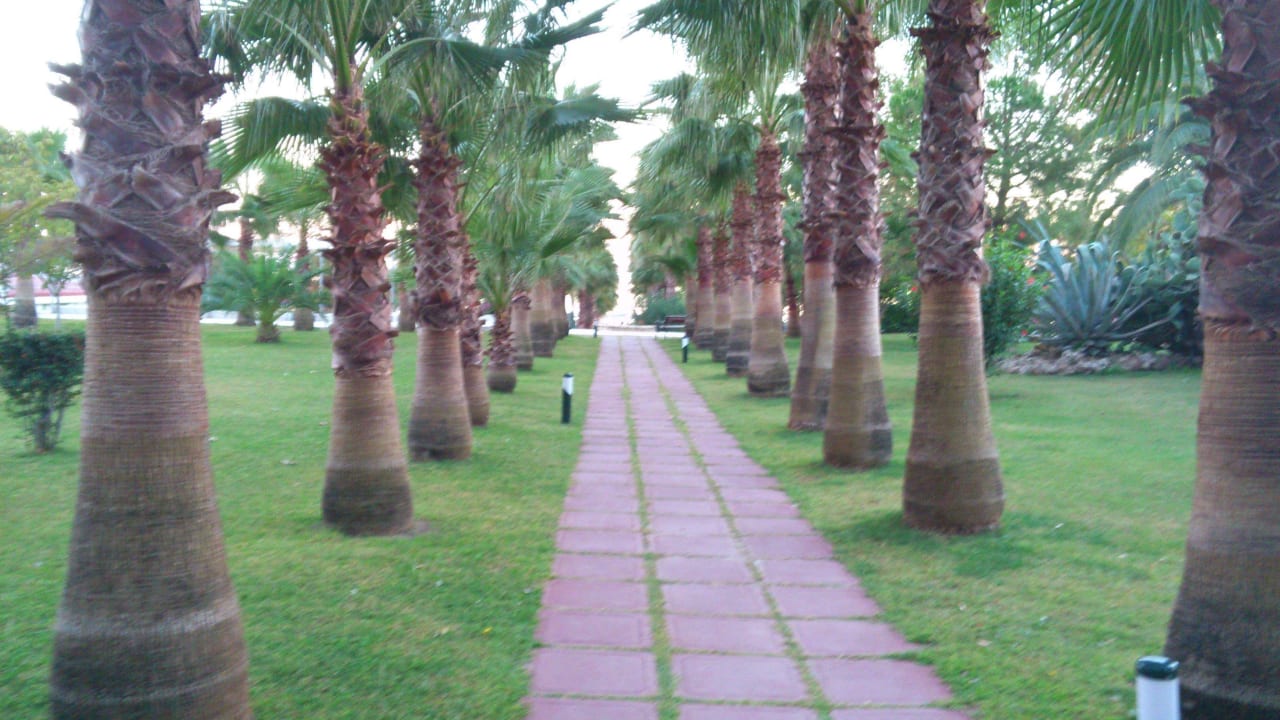 Der Weg zum Strand Hotel Miramare Beach