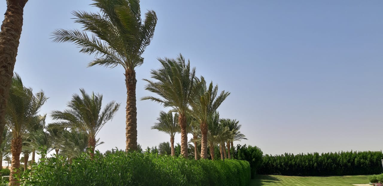 Gartenanlage Jaz Aquaviva