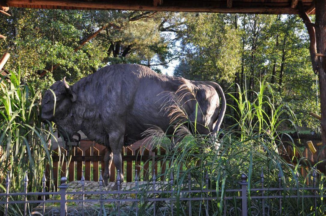Ostoja żubra Dworek nad Łąkami Kiermusy