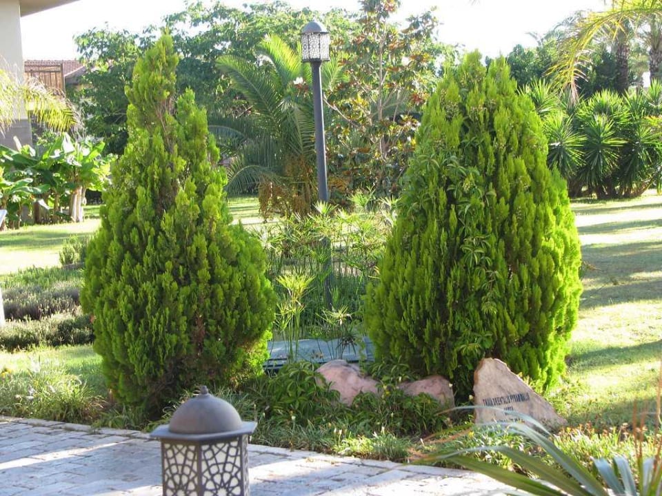 Hotelanlage TUI BLUE Palm Garden