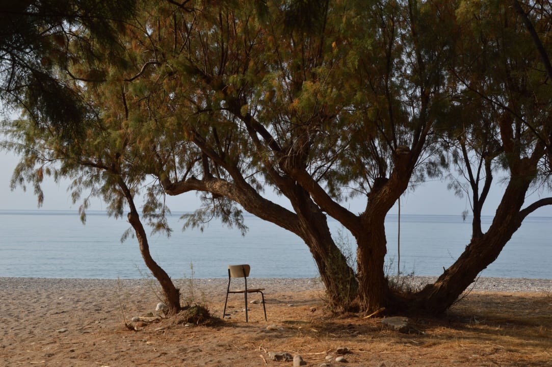 Eristos-Beach Eristos Beach Hotel