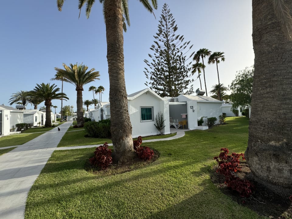 Gartenanlage Canary Garden Club