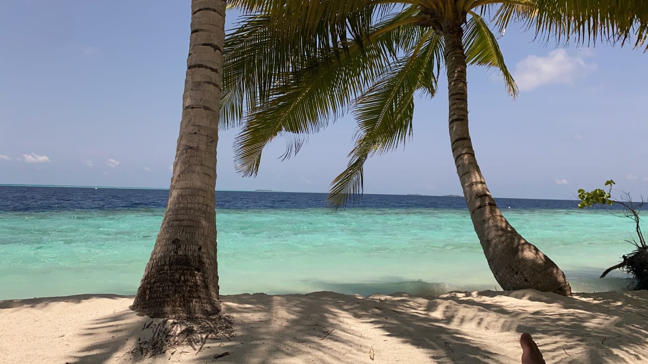 Ausblick Vilamendhoo Island Resort & Spa