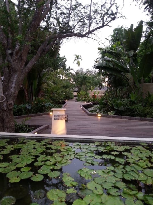 Wege gesäumt von Teichen Sheraton Hua Hin Pranburi Villas