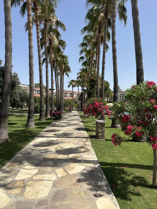 Gartenanlage Arum Barut Collection