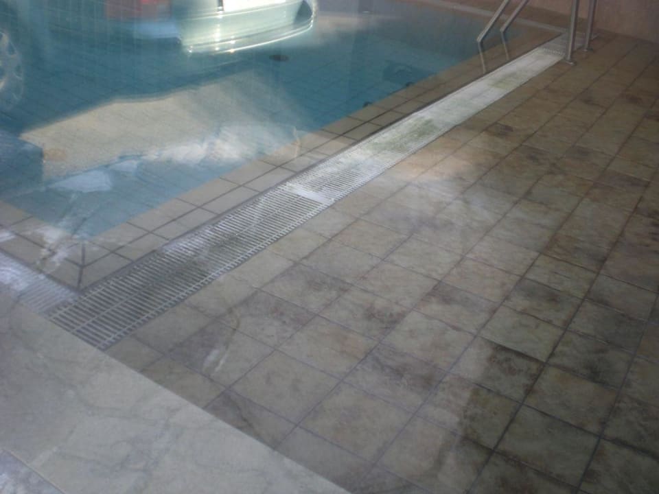 Blick von außen ins Schwimmbad Alpensport-Hotel Seimler