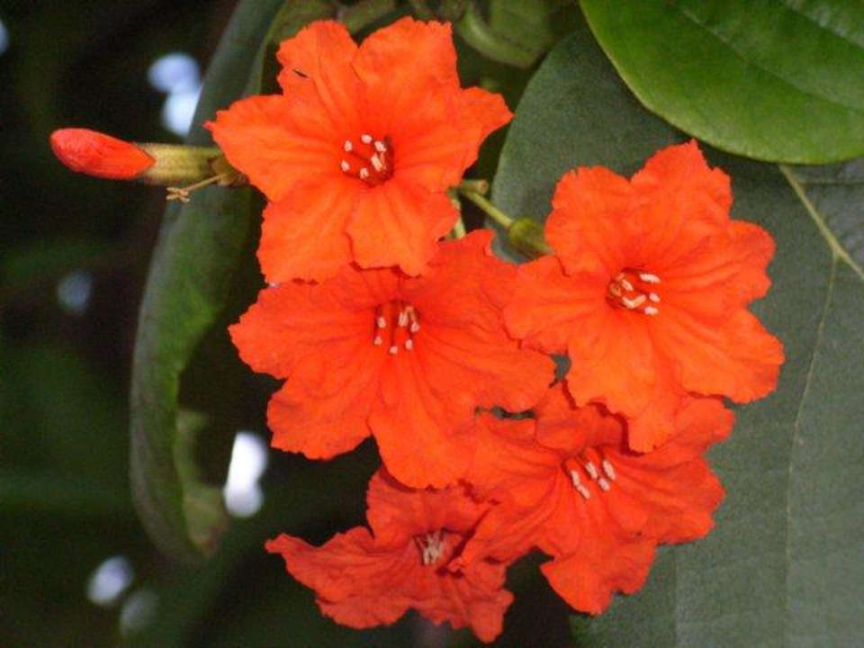 une autre Hotel Grand Palladium Palace Resort, Spa & Casino