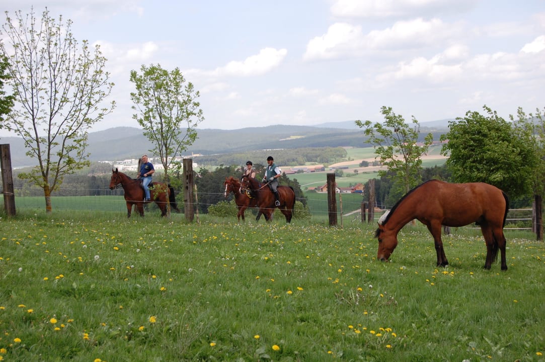 Ausritt mit Freunden - ein Traum Kollerhof