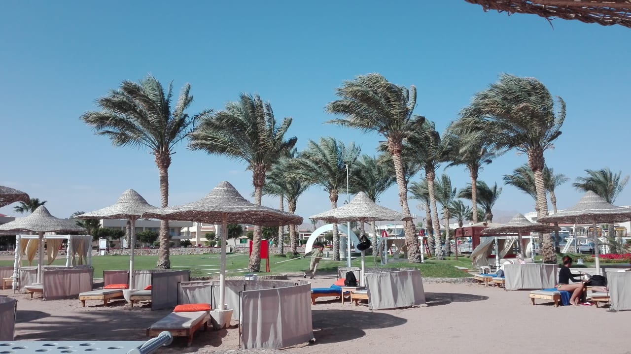 Strand Pickalbatros Royal Moderna Resort-Sharm El Sheikh