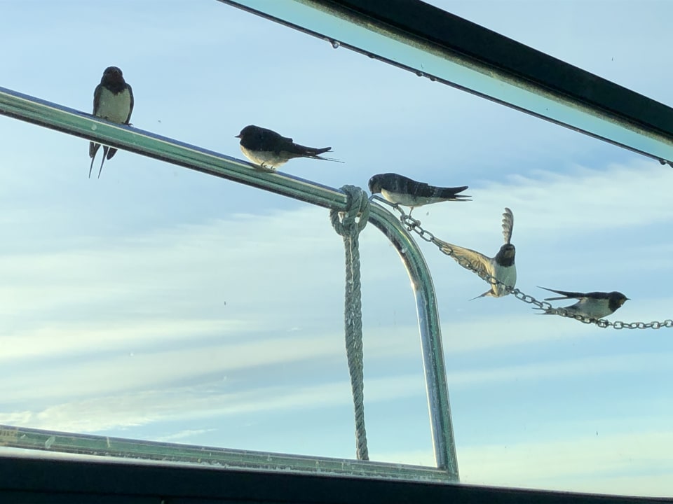 Außenansicht KUHNLE-TOURS Hafendorf Müritz