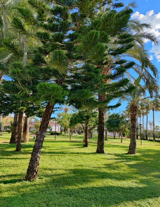 Gartenanlage Seher Kumköy Star Resort & Spa