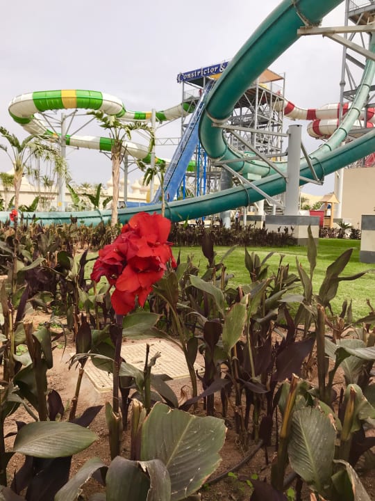 Außenansicht Pickalbatros Aqua Park Resort - Sharm El Sheikh