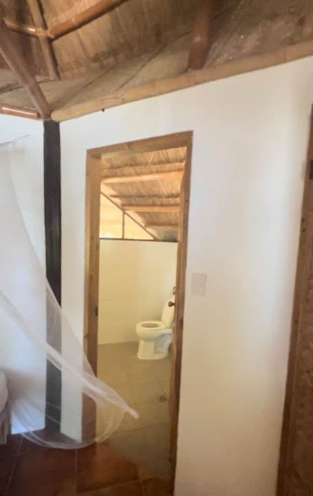 Zimmer Cashew Grove Beach Resort