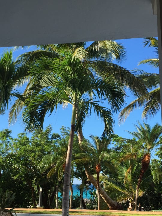 Gartenanlage Sirenis Tropical Varadero