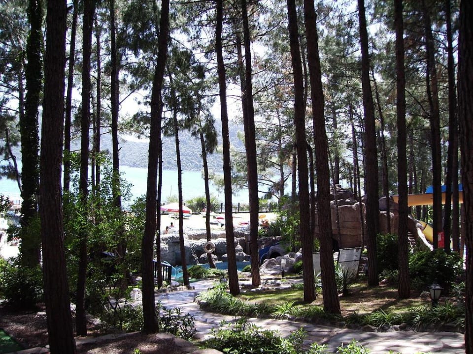 Garten Grand Yazici Club Marmaris Palace