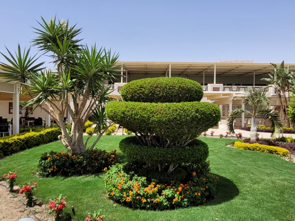 Gartenanlage Pickalbatros Dana Beach Resort - Hurghada