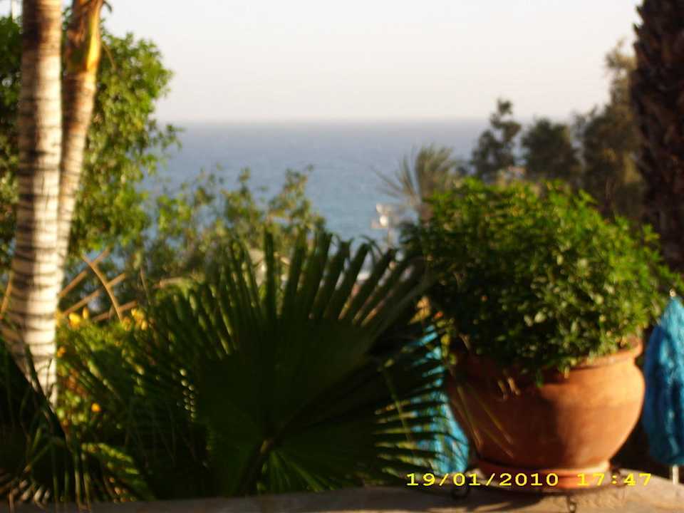 Aussicht vom Pool Corallium Dunamar by Lopesan Hotels