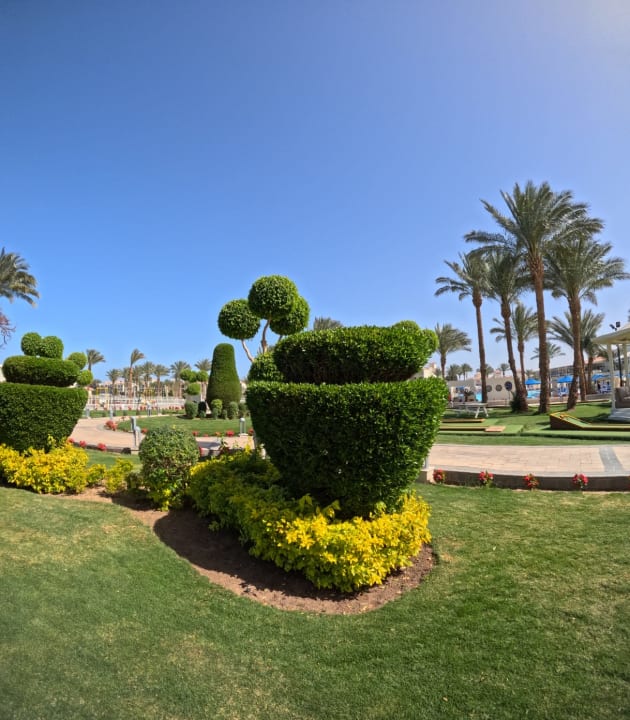 Gartenanlage Pickalbatros Dana Beach Resort - Hurghada