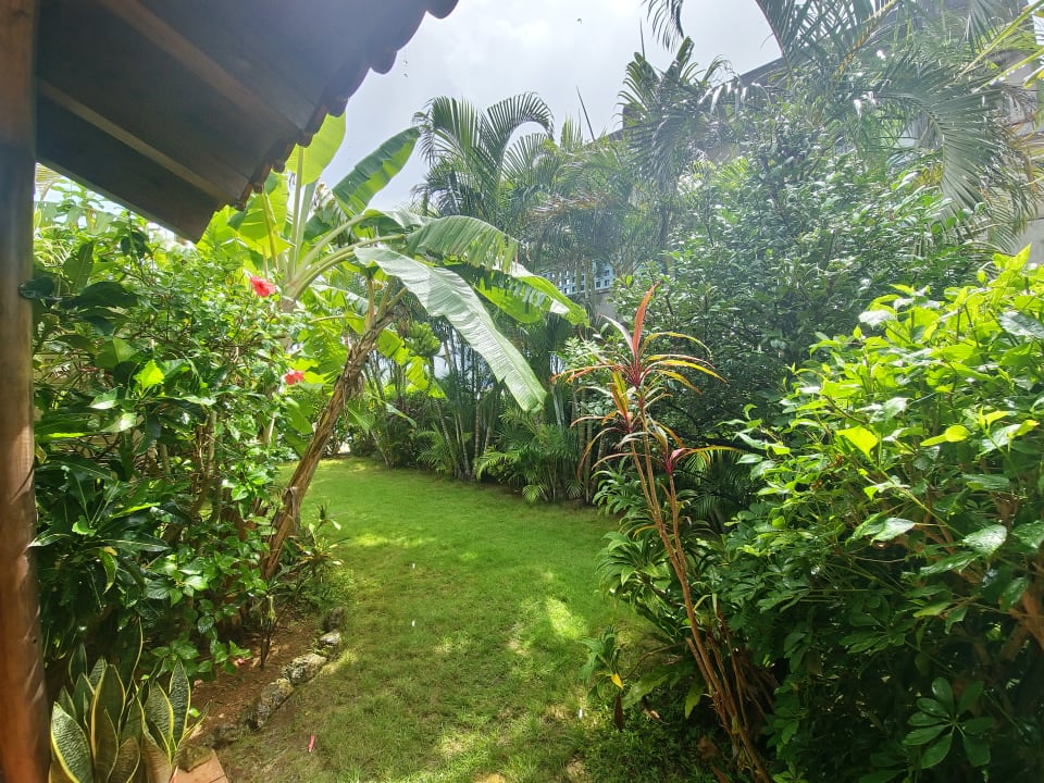 Gartenanlage Akachichi Guesthouse