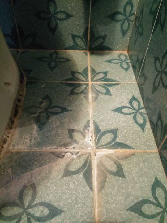 Dreck in allen Ecken Hotel Marina Club